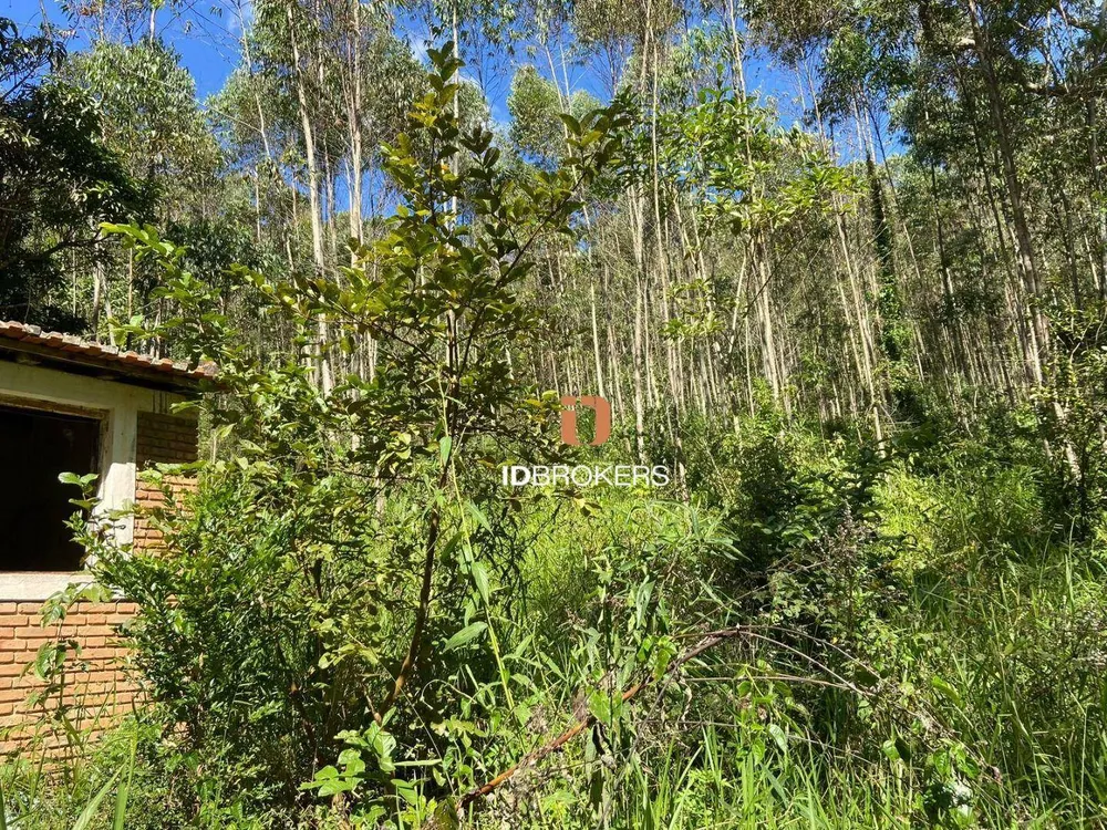Terreno, 21 hectares - Foto 12