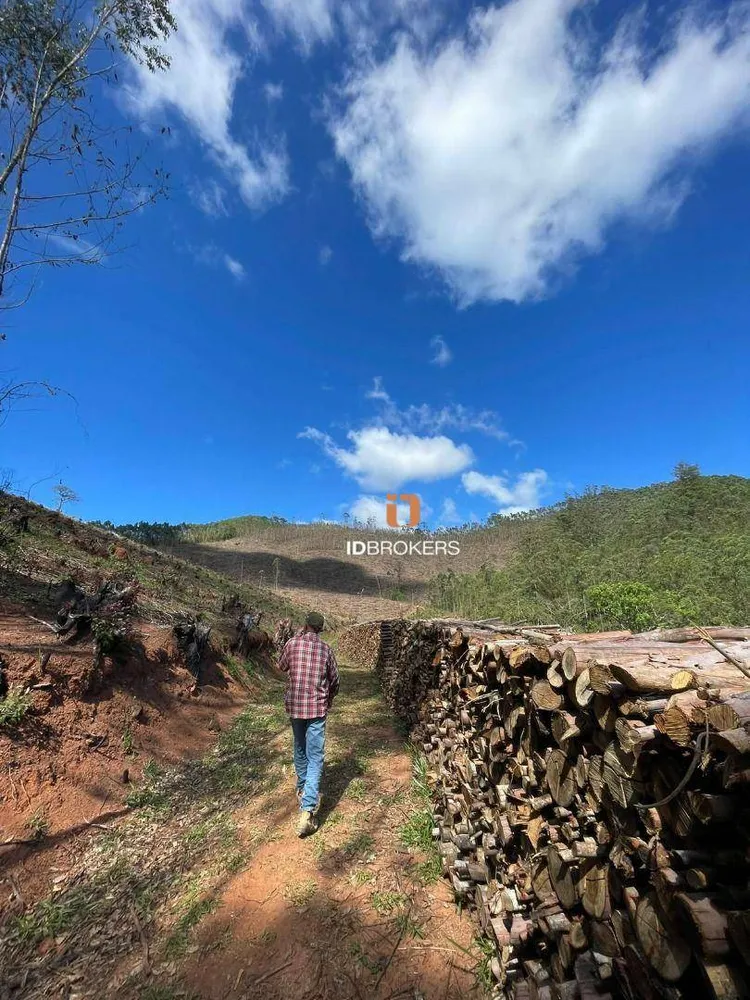 Terreno, 21 hectares - Foto 4