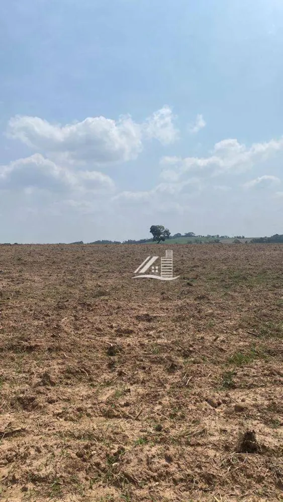 Terreno, 8 hectares - Foto 3