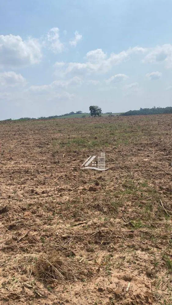 Terreno, 8 hectares - Foto 4