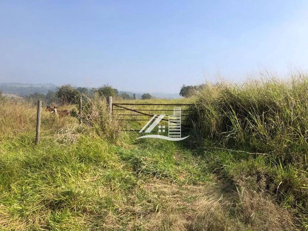 Terreno, 5 hectares - Foto 3