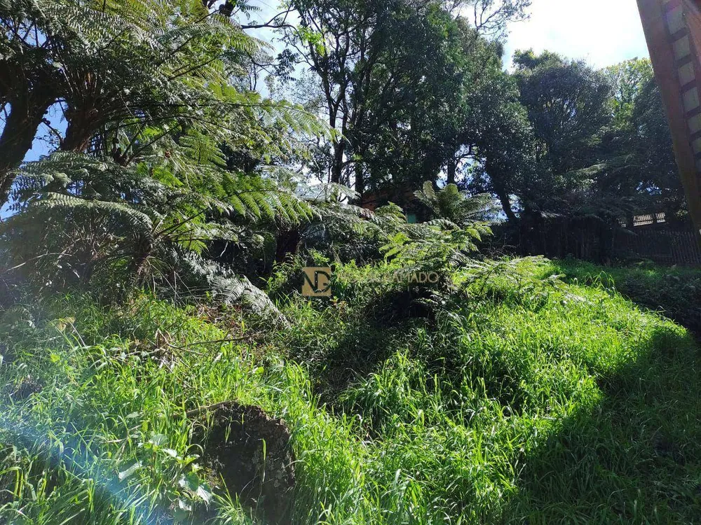 Terreno, 312 m² - Foto 3
