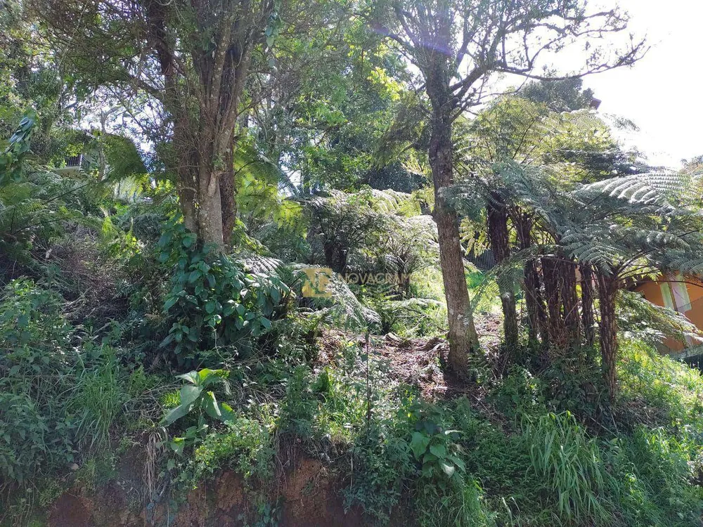 Terreno, 312 m² - Foto 4