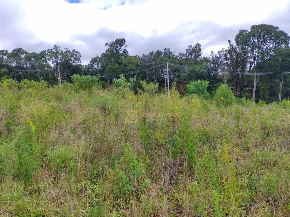Terreno, 450 m² - Foto 4
