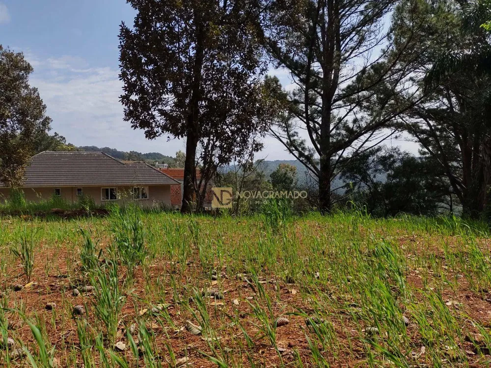 Terreno, 988 m² - Foto 4