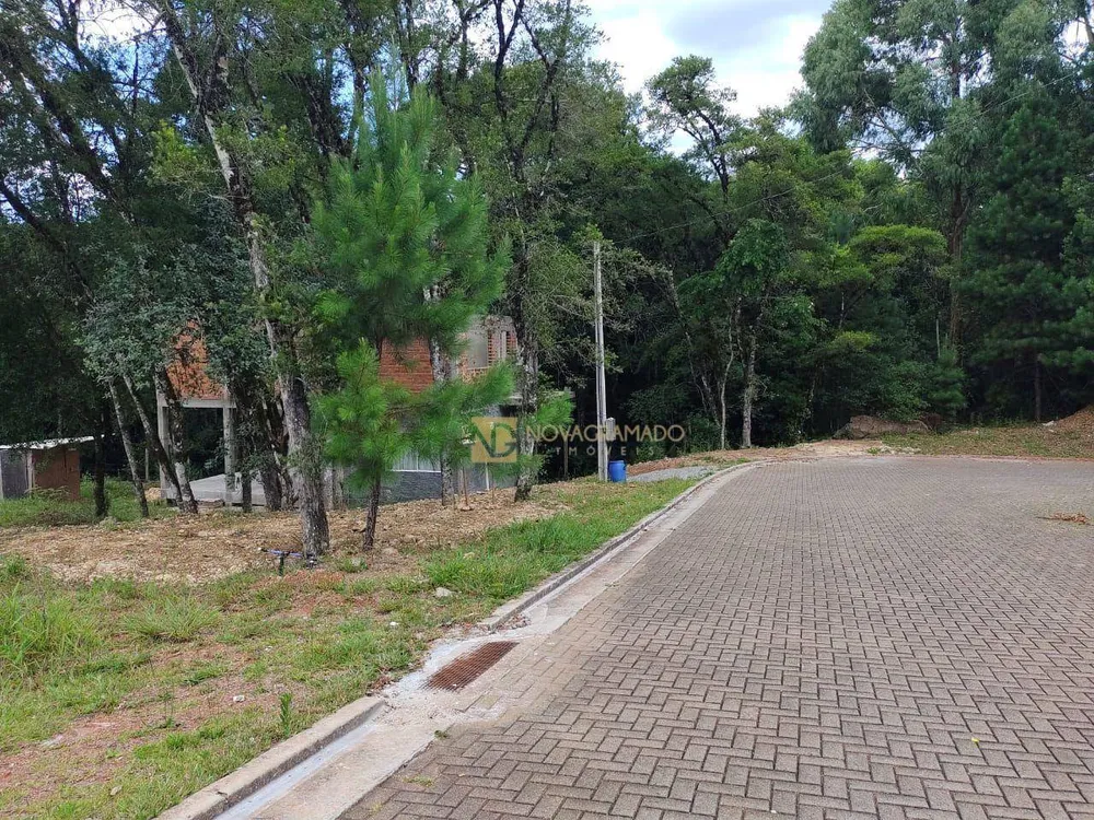 Terreno, 420 m² - Foto 3