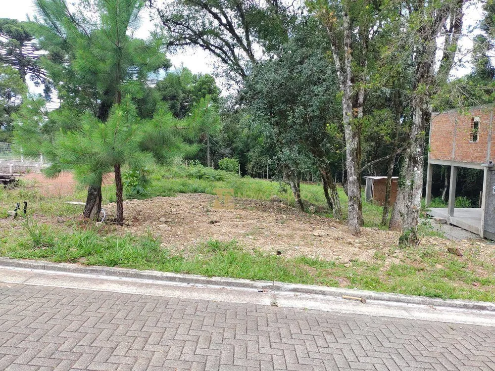 Terreno, 420 m² - Foto 4