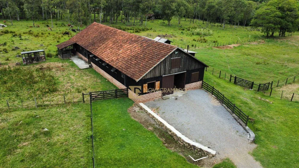 Sítio, 3 quartos, 4 hectares - Foto 4
