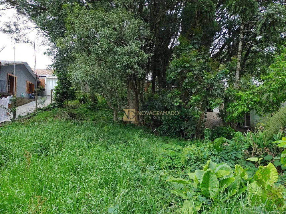 Terreno, 590 m² - Foto 1