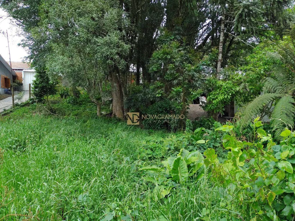 Terreno, 590 m² - Foto 2