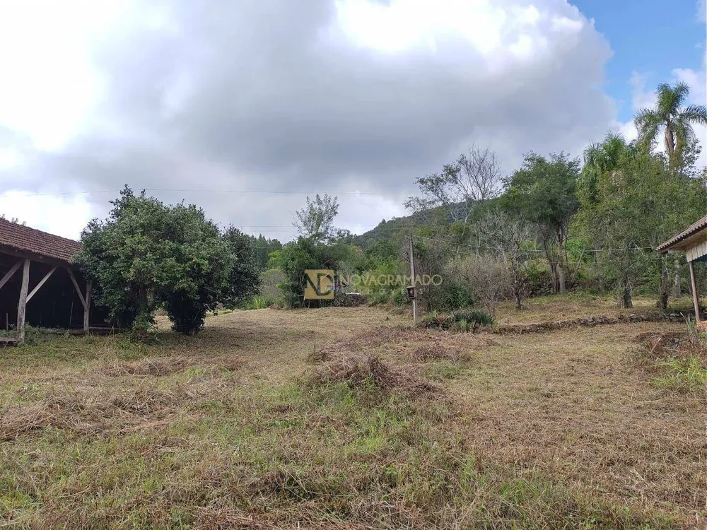 Sítio, 4 hectares - Foto 3
