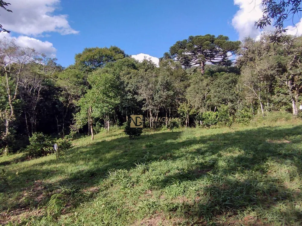 Terreno, 750 m² - Foto 4
