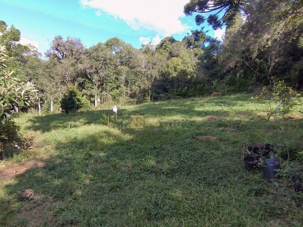Terreno, 750 m² - Foto 2