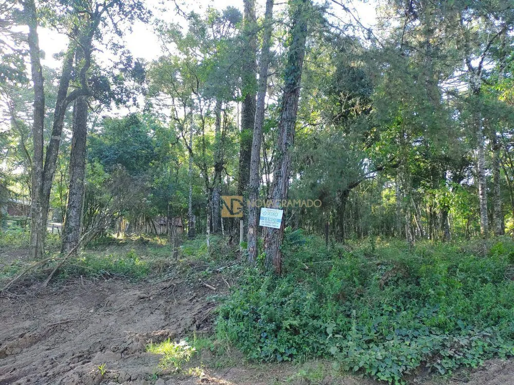 Terreno, 3 hectares - Foto 4