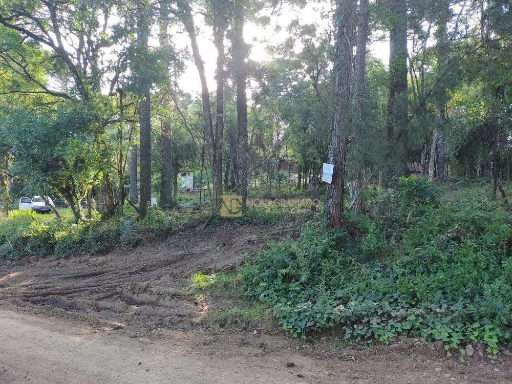 Terreno, 3 hectares - Foto 2