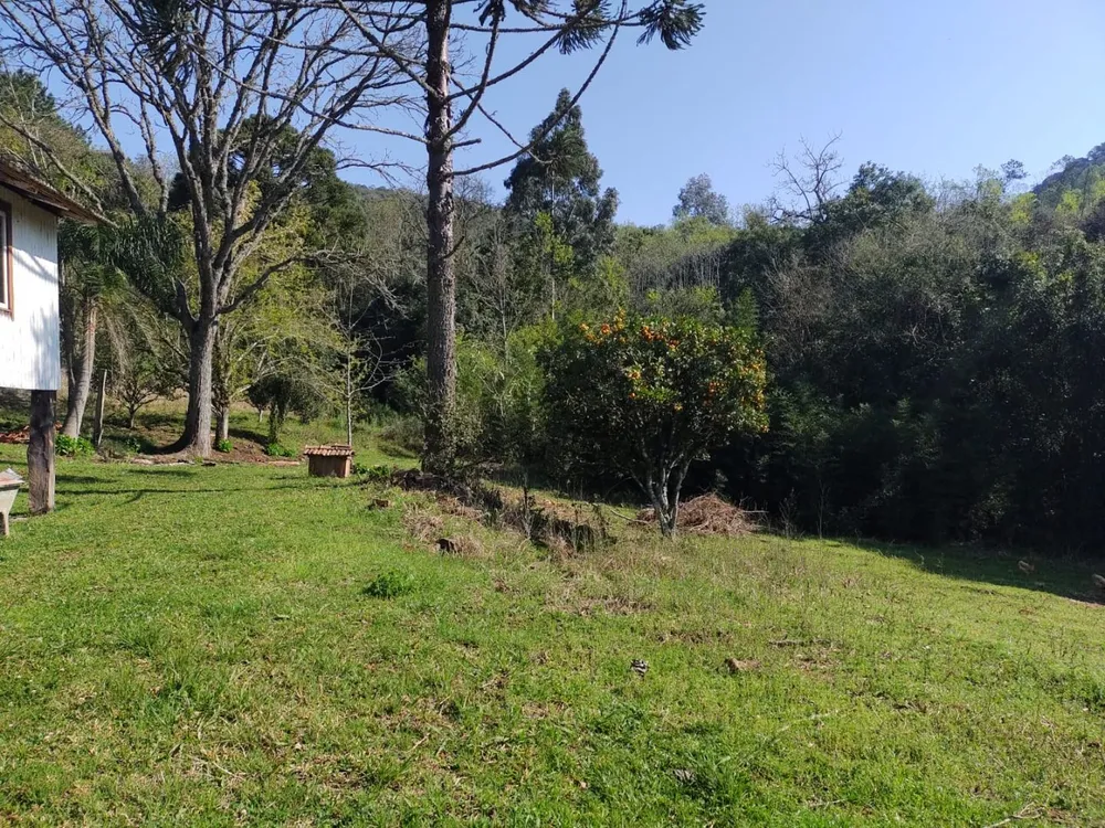 Sítio, 15 hectares - Foto 3
