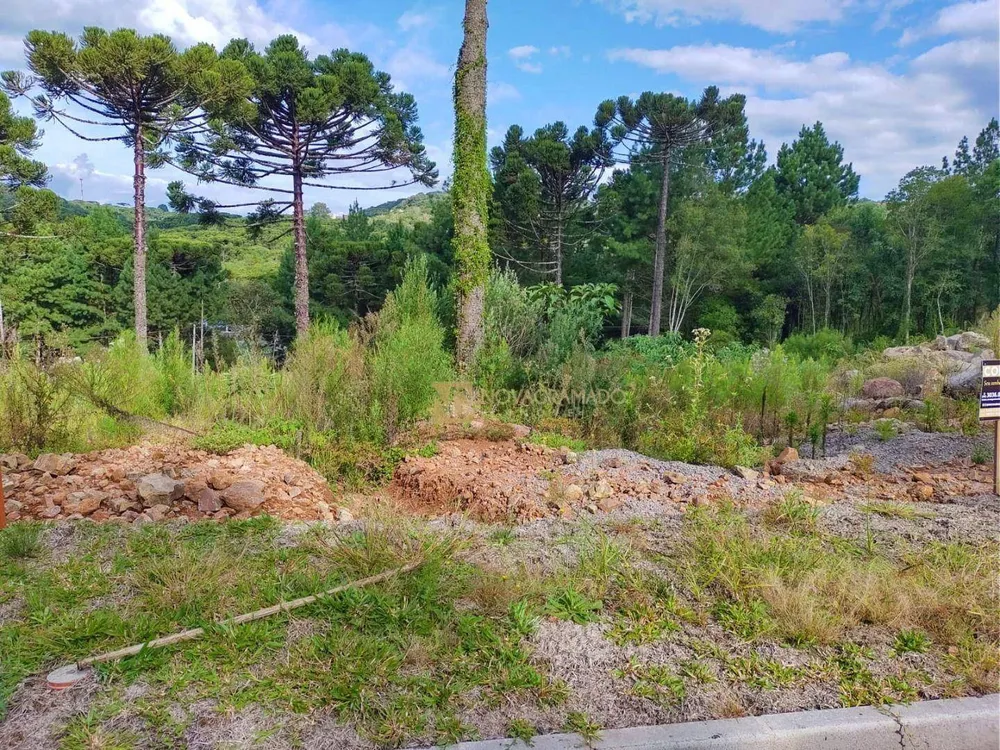 Terreno, 450 m² - Foto 3