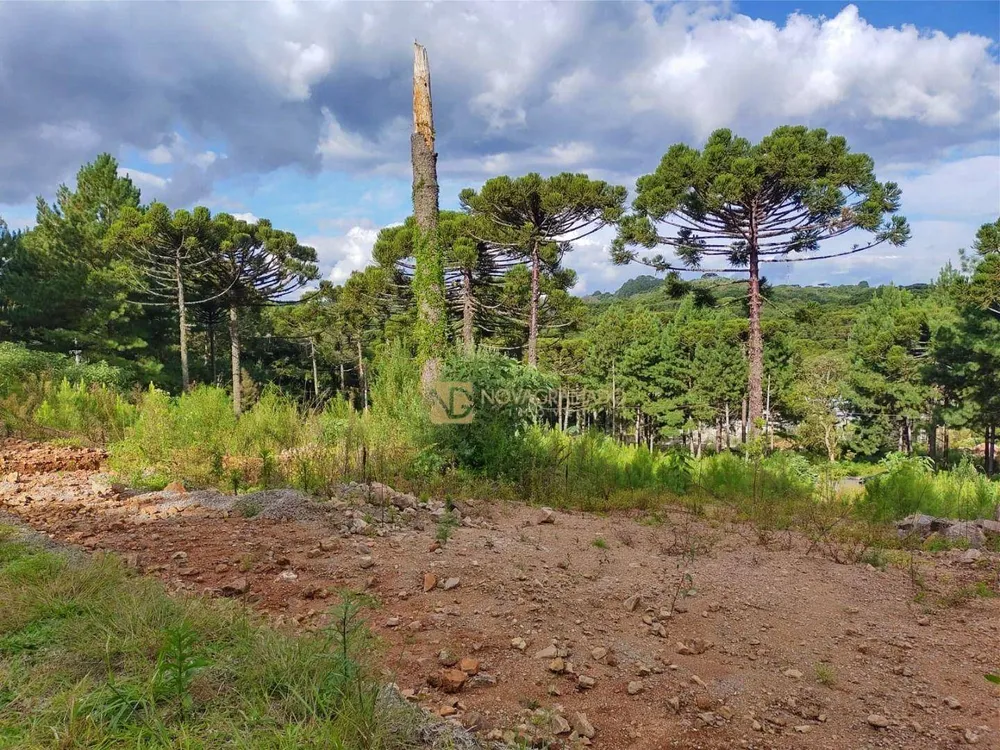 Terreno, 450 m² - Foto 1