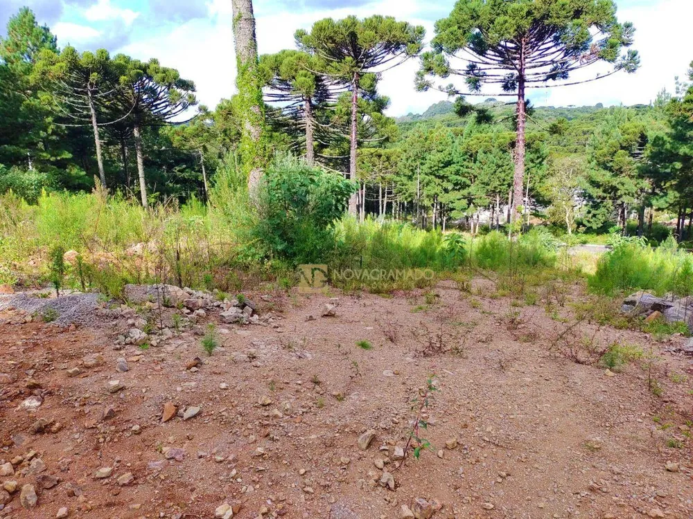 Terreno, 450 m² - Foto 2