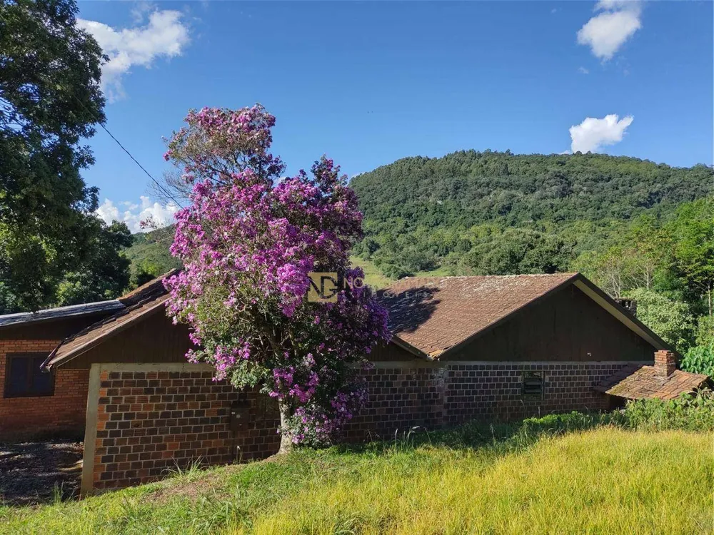 Sítio, 5 quartos, 3 hectares - Foto 3