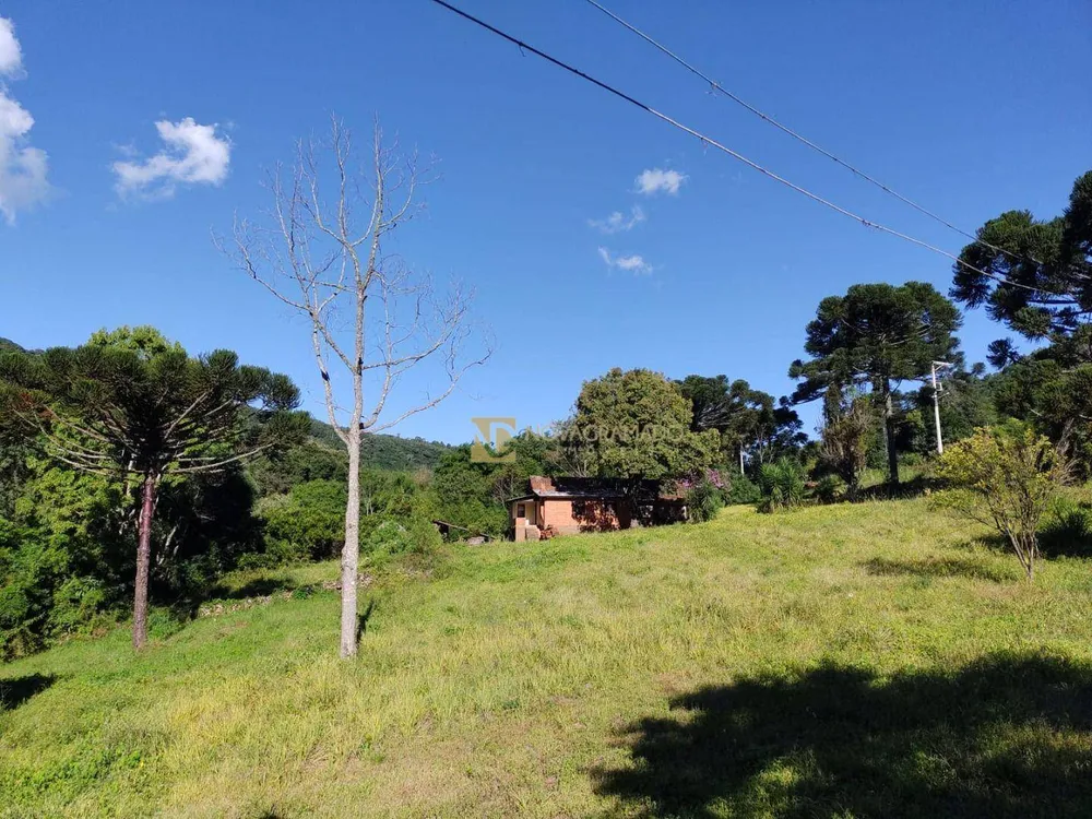 Sítio, 5 quartos, 3 hectares - Foto 4