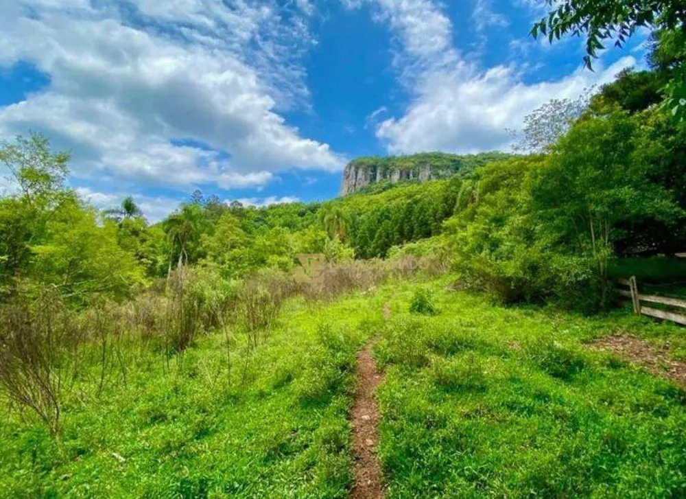 Sítio, 35 hectares - Foto 1
