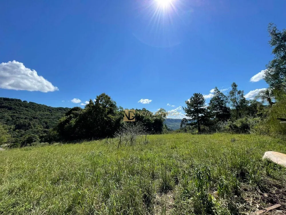 Terreno, 5000 m² - Foto 4