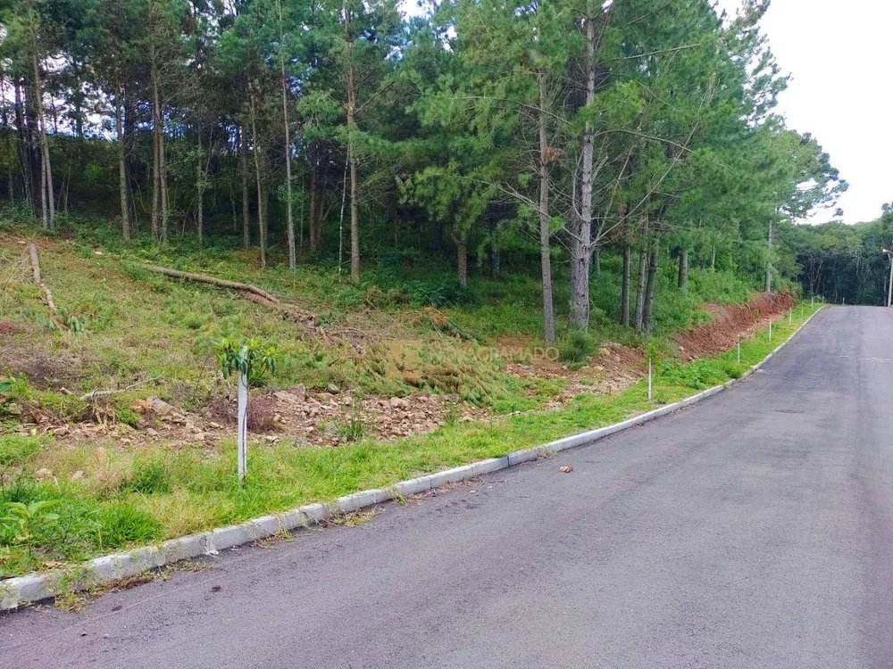 Terreno, 450 m² - Foto 1