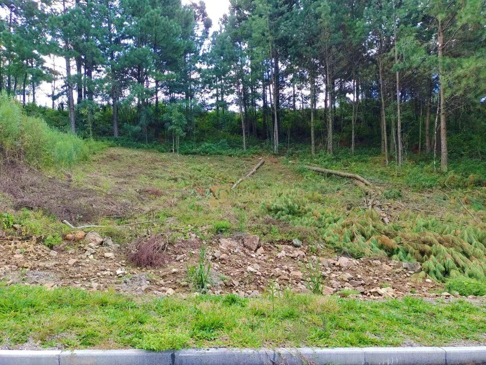 Terreno, 450 m² - Foto 2