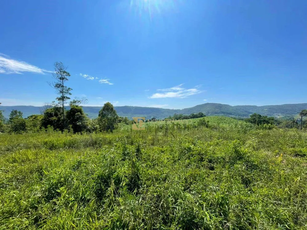 Sítio, 6 quartos, 45 hectares - Foto 4