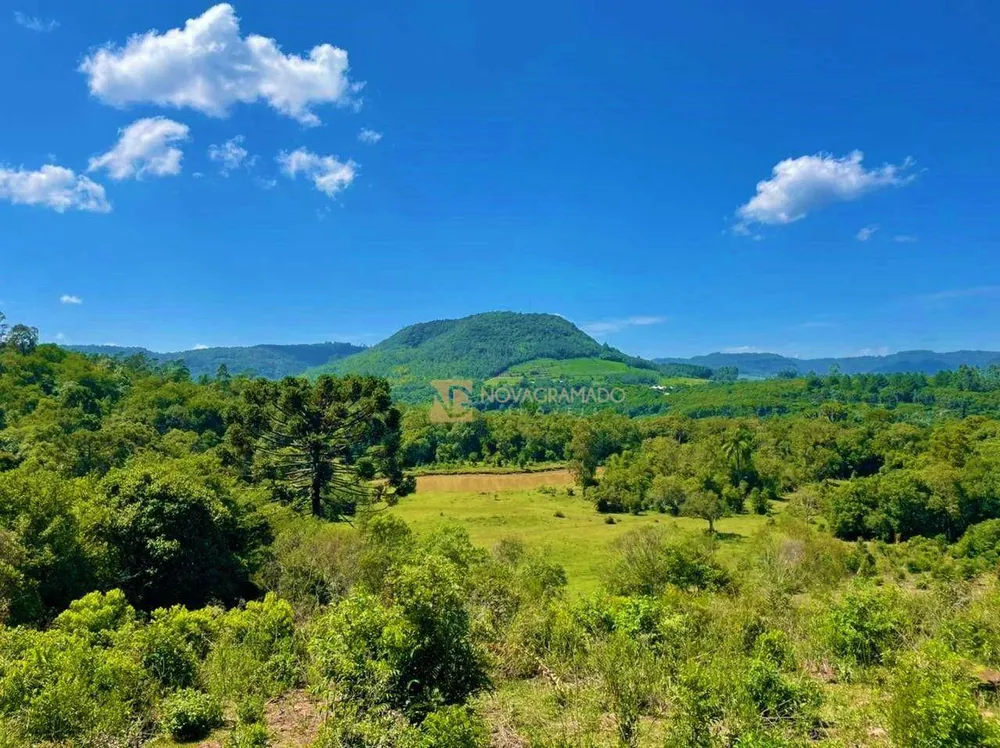 Sítio, 6 quartos, 45 hectares - Foto 1