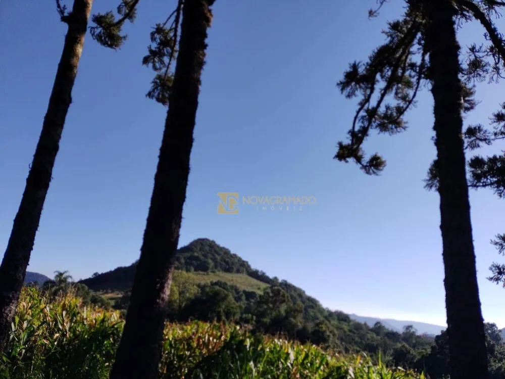 Terreno, 9 hectares - Foto 4