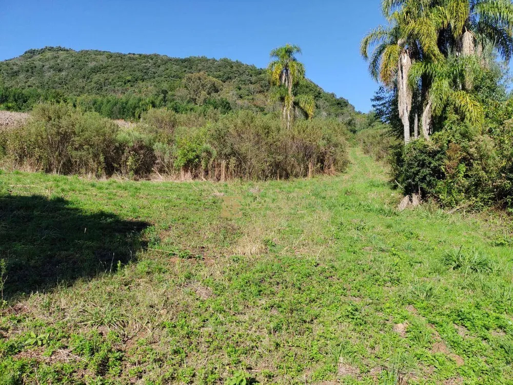 Terreno, 7 hectares - Foto 4