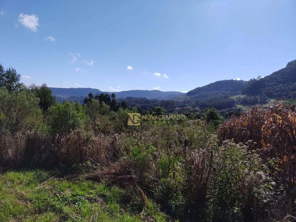 Terreno, 7 hectares - Foto 3