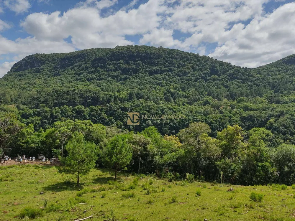 Terreno, 3 hectares - Foto 3