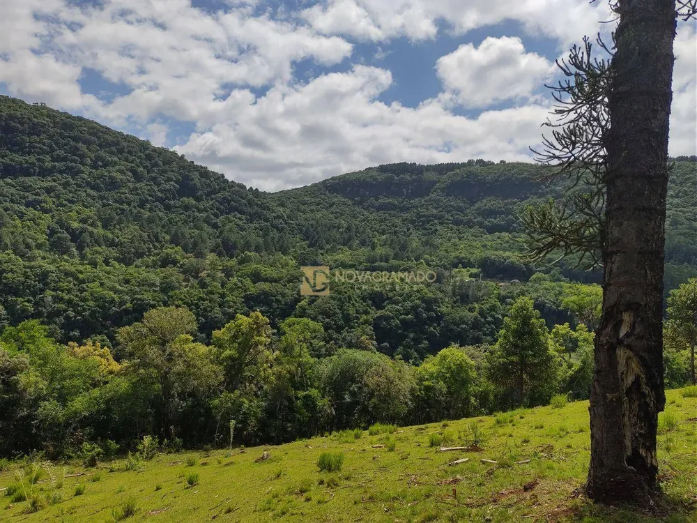Terreno, 3 hectares - Foto 4