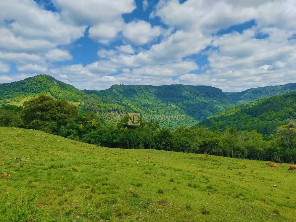 Terreno, 3 hectares - Foto 1
