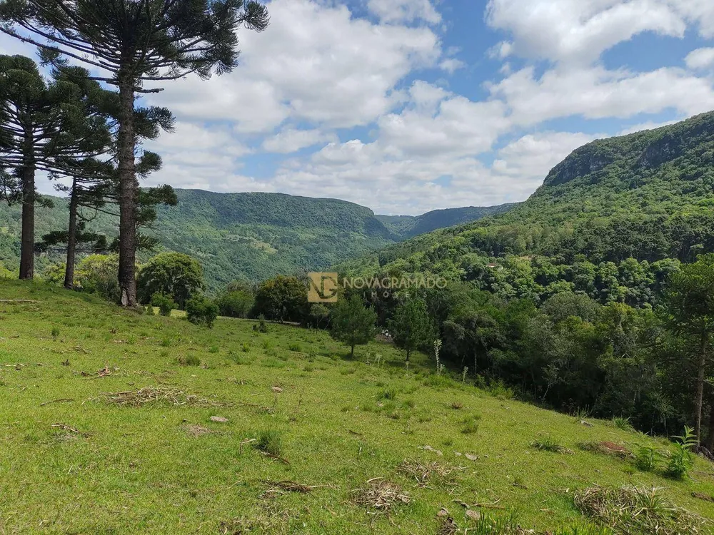 Terreno, 3 hectares - Foto 2