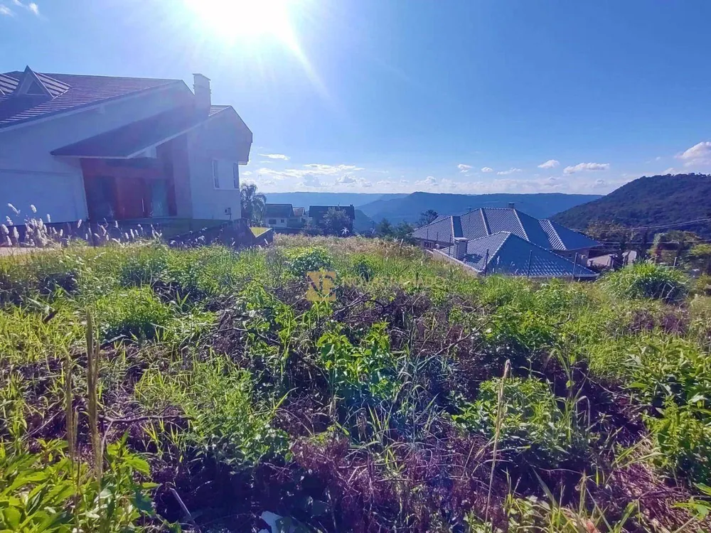 Terreno, 486 m² - Foto 3