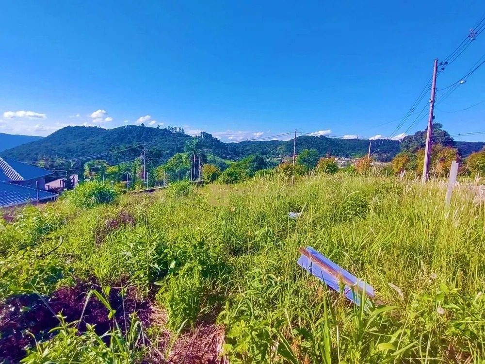 Terreno, 486 m² - Foto 2