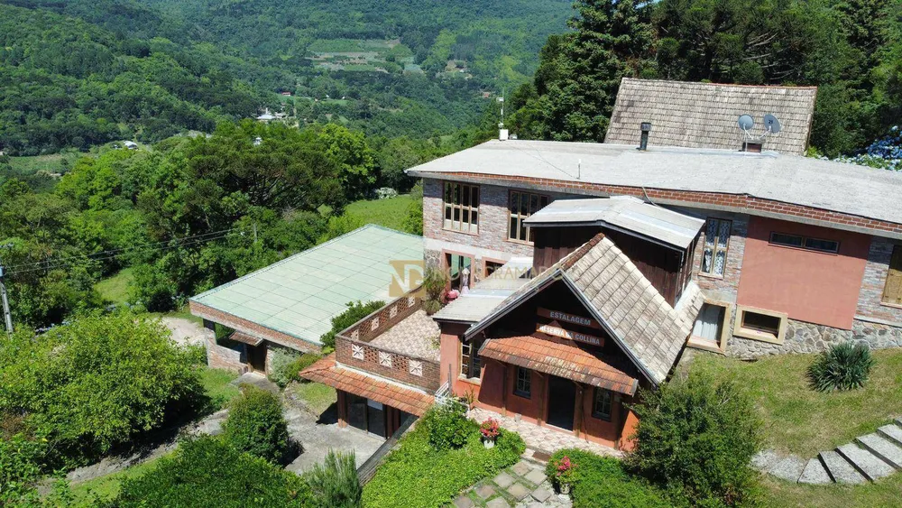Sítio, 5 hectares - Foto 4
