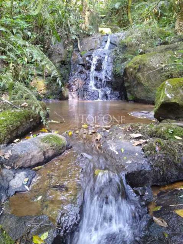 Sítio à venda, 22000 - Foto 3