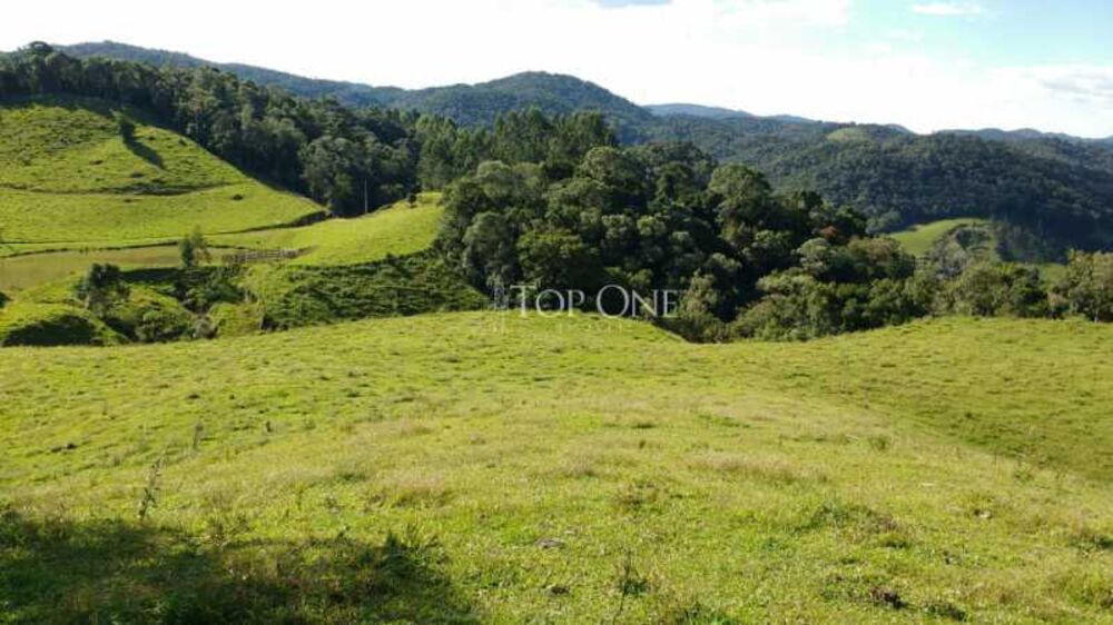 Sítio à venda, 22000 - Foto 4