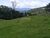 Sítio, 2 hectares - Foto 10