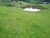 Sítio, 2 hectares - Foto 11