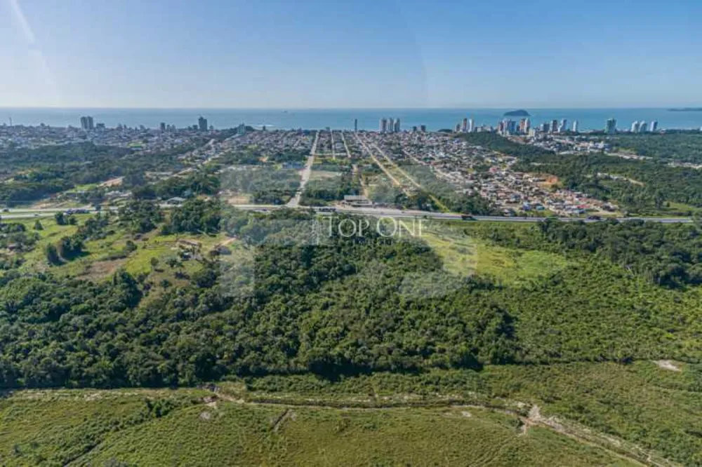 Terreno, 4 hectares - Foto 4