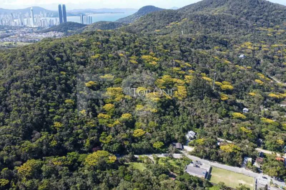Terreno, 3 hectares - Foto 4