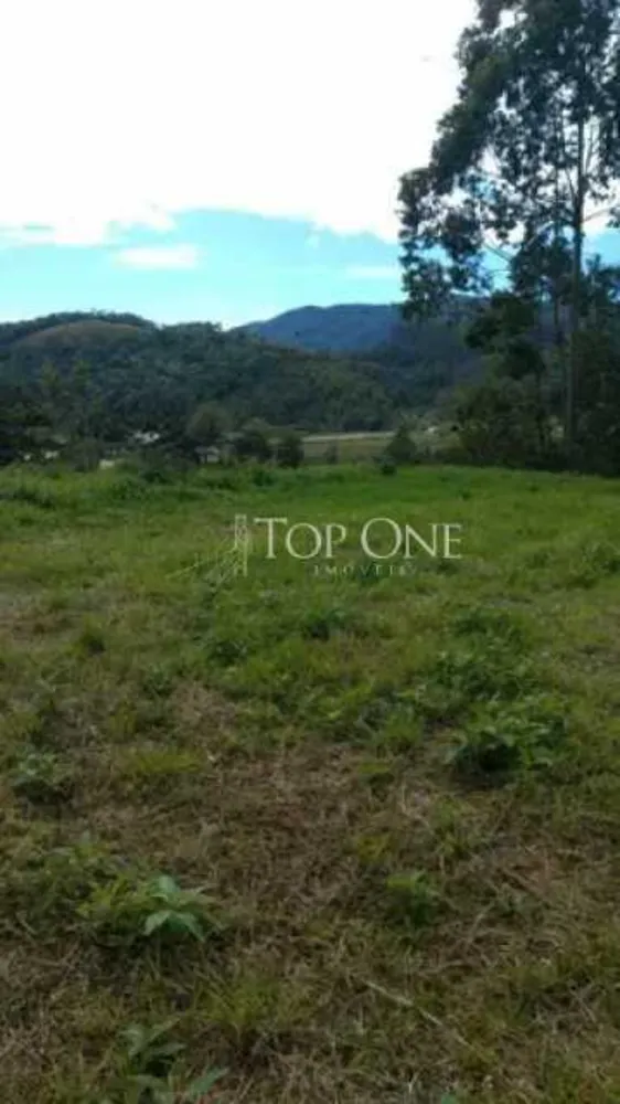 Terreno, 2 hectares - Foto 3