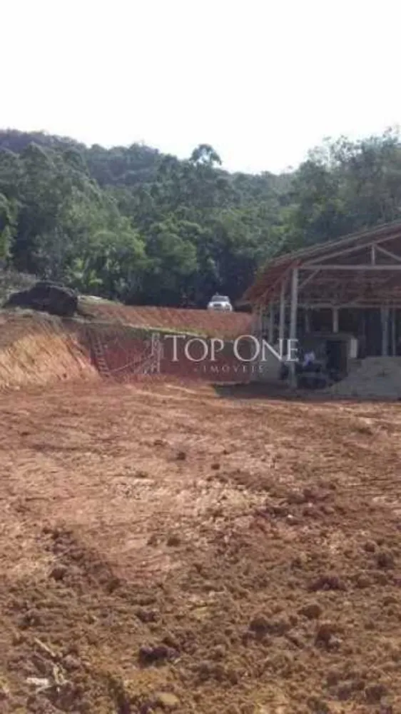 Terreno, 2 hectares - Foto 4