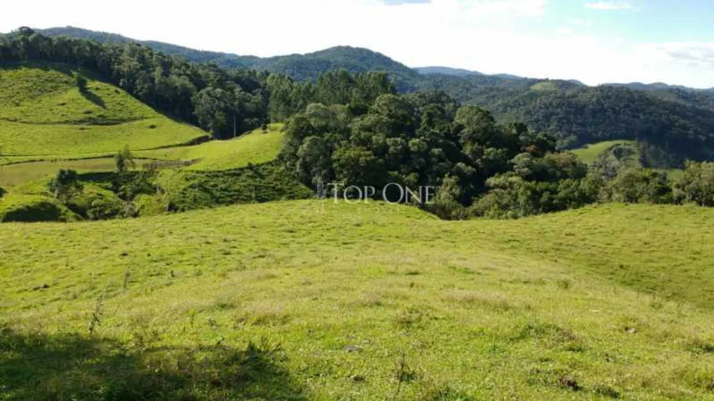 Sítio, 2 hectares - Foto 1